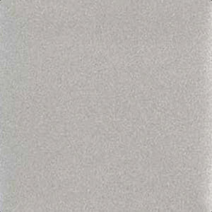 Champagne Silver ALM107