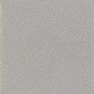 Bright Champagne Silver ALM115